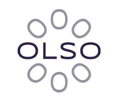 Cabinet de conseil en management et en vente Lyon, OLSO